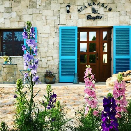 Szarka Vendeghaz Es Pince Apartment Mad Ngoại thất bức ảnh